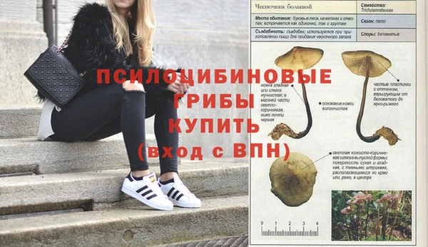 кокаин перу Касимов