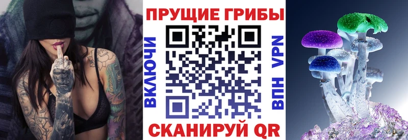 Купить  Петухово  Галлюциногенные грибы MAGIC MUSHROOMS 